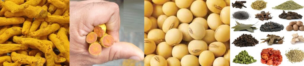 turmeric soybean spices 09 04 2026